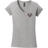 Scary Badgers Softstyle Ladies Fit V-Neck T-Shirt