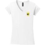 Chester County Softstyle Ladies Fit V-Neck T-Shirt