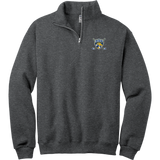 Downingtown East NuBlend 1/4-Zip Cadet Collar Sweatshirt