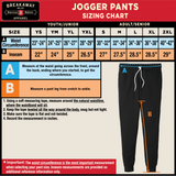 Lansing Senators Breakaway Fall Fleece Youth Jogger Pants