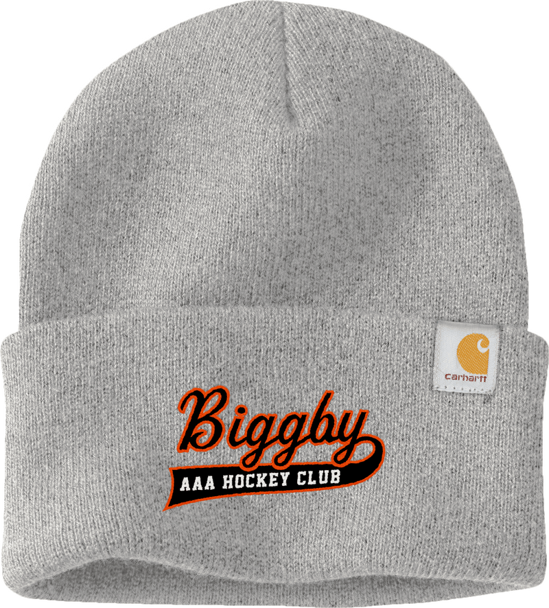 Biggby Coffee AAA Carhartt Watch Cap 2.0