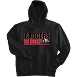 Scary Badgers Ultimate Cotton - Pullover Hooded Sweatshirt