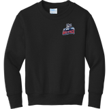 CT Wolfpack South Youth Core Fleece Crewneck Sweatshirt