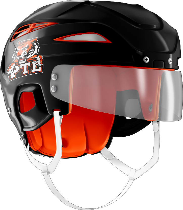 Princeton Tiger Lilies Helmet Stickers