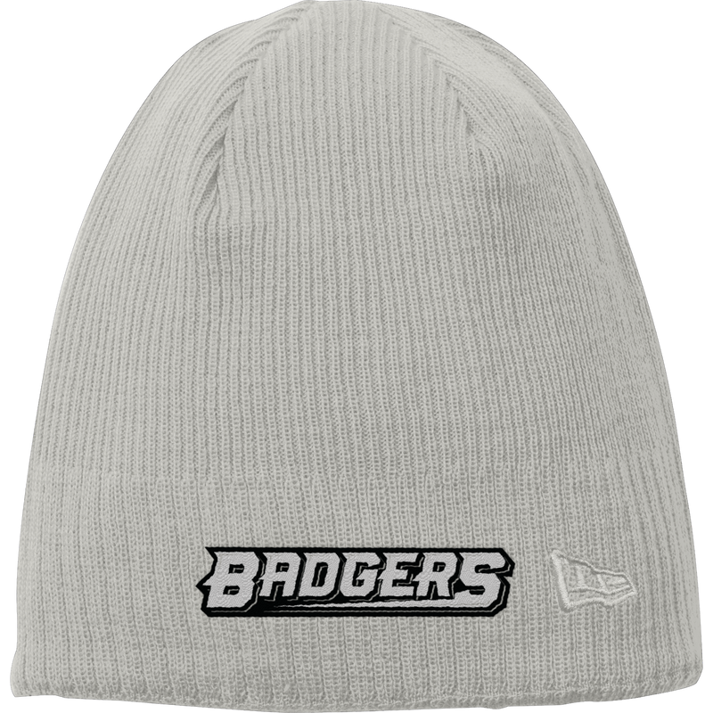 Allegheny Badgers New Era Knit Beanie